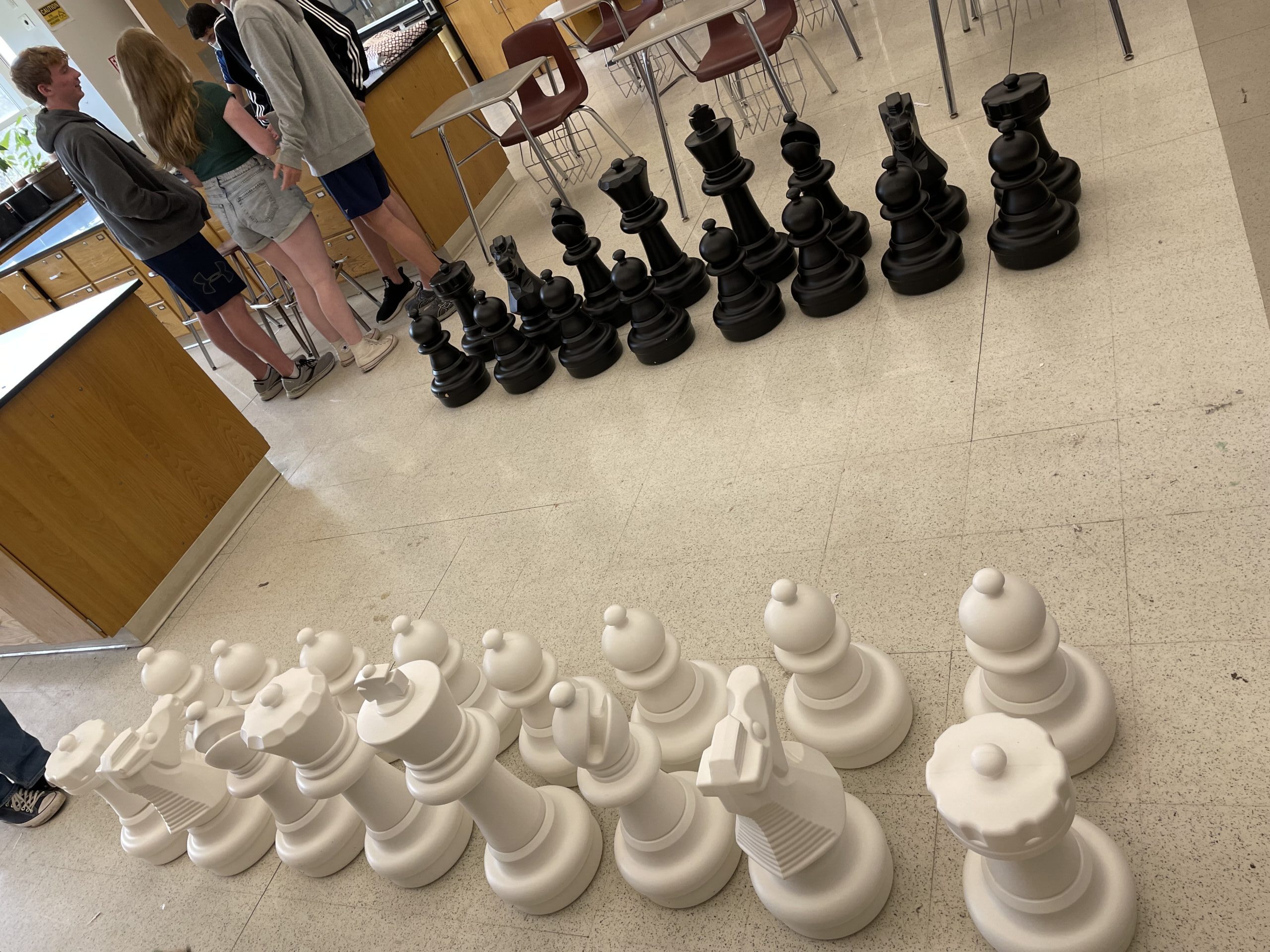 How Many Chess Pieces Are in a Set?, Learn more at Megachess